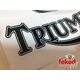 Triumph Logo Tank Decals - Clear Self Adhesive Vinyl - 145mm - Black